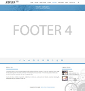 Footer3
